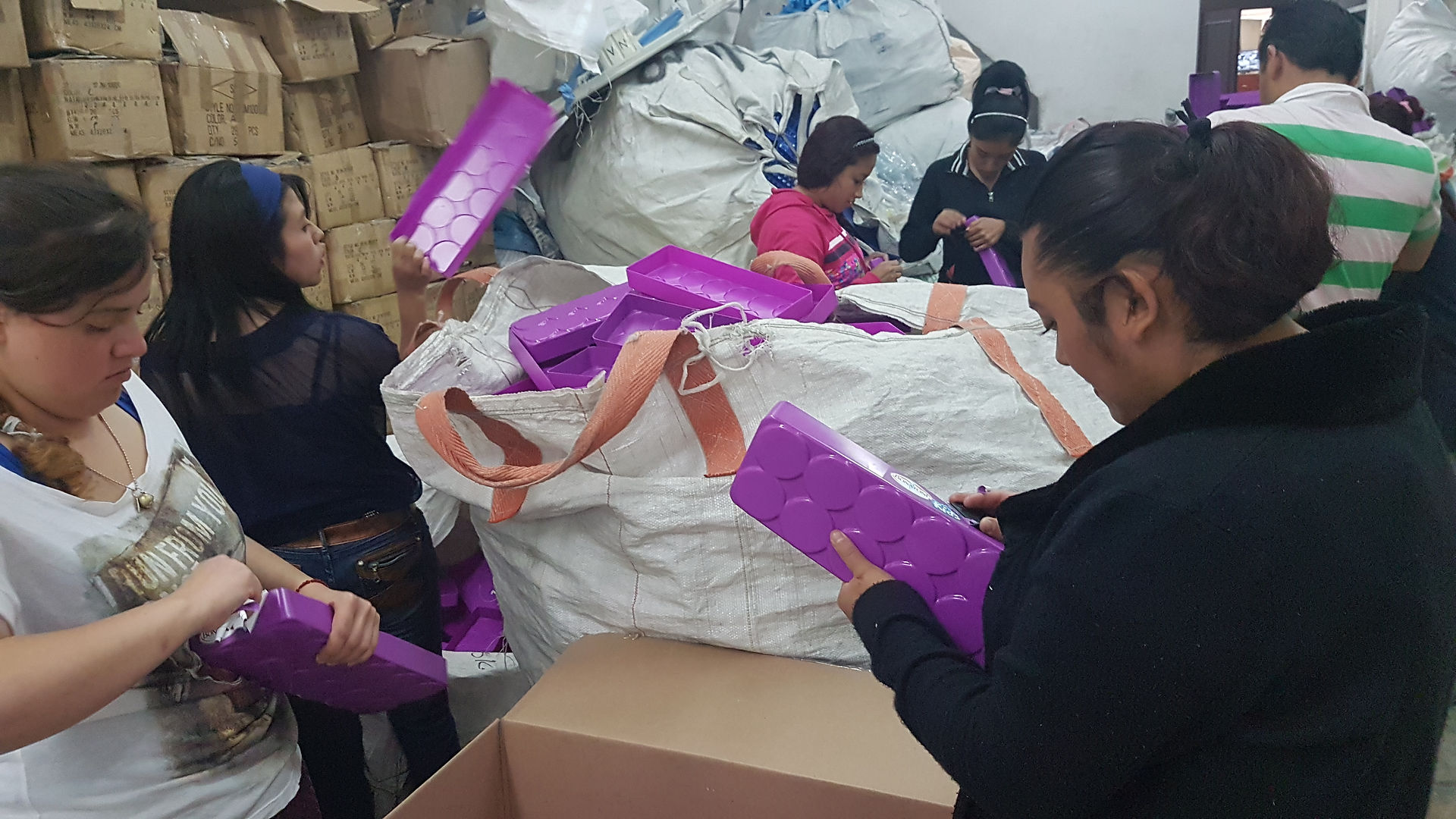 Destrucción_de_Charolas_-_COMPRA_DE_MAT._PLASTICOS_CANCER_(99)