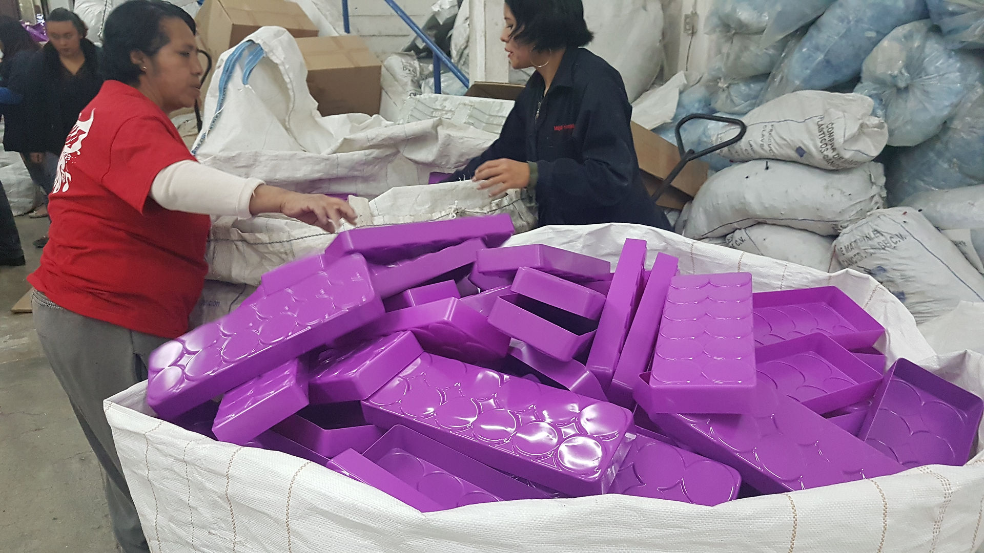 Destrucción_de_Charolas_-_COMPRA_DE_MAT._PLASTICOS_CANCER_(91)