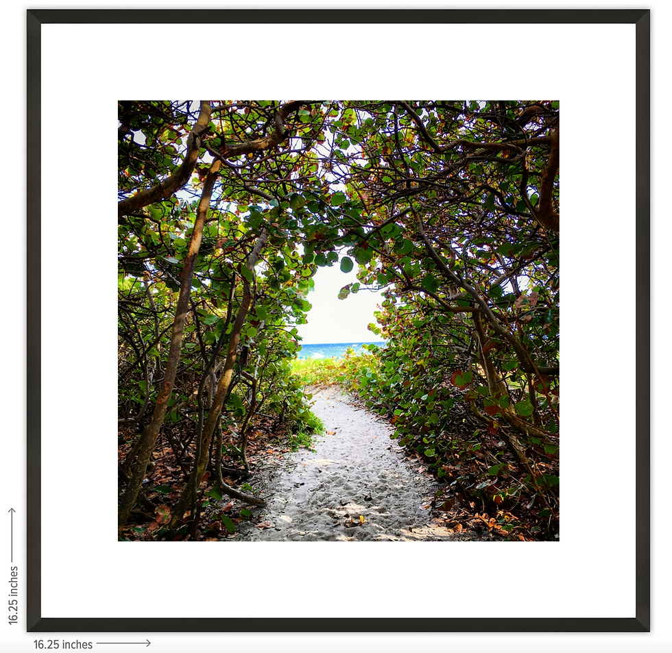 Thumbnail: Delray Cove