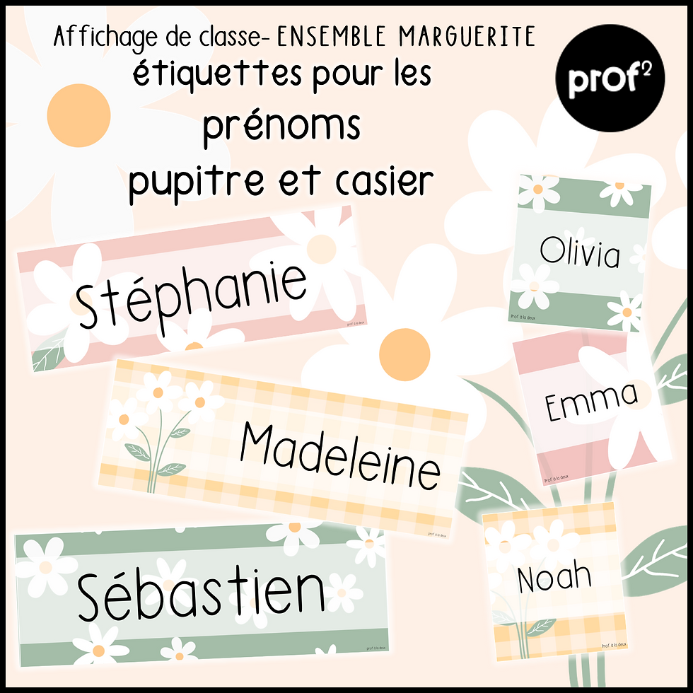 Miniature : Affichage marguerites - Ensemble complet Préscolaire