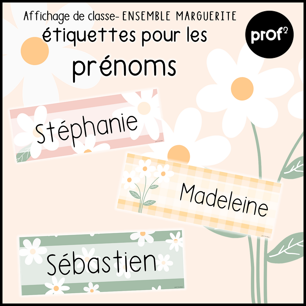 Miniature : Affichage marguerites - affichage complet (primaire)