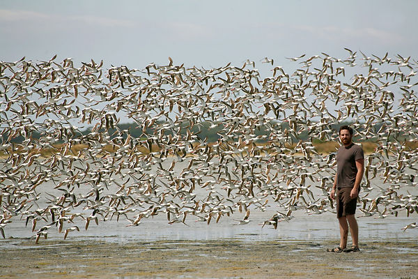 Experience the wildlife on Flinders Island