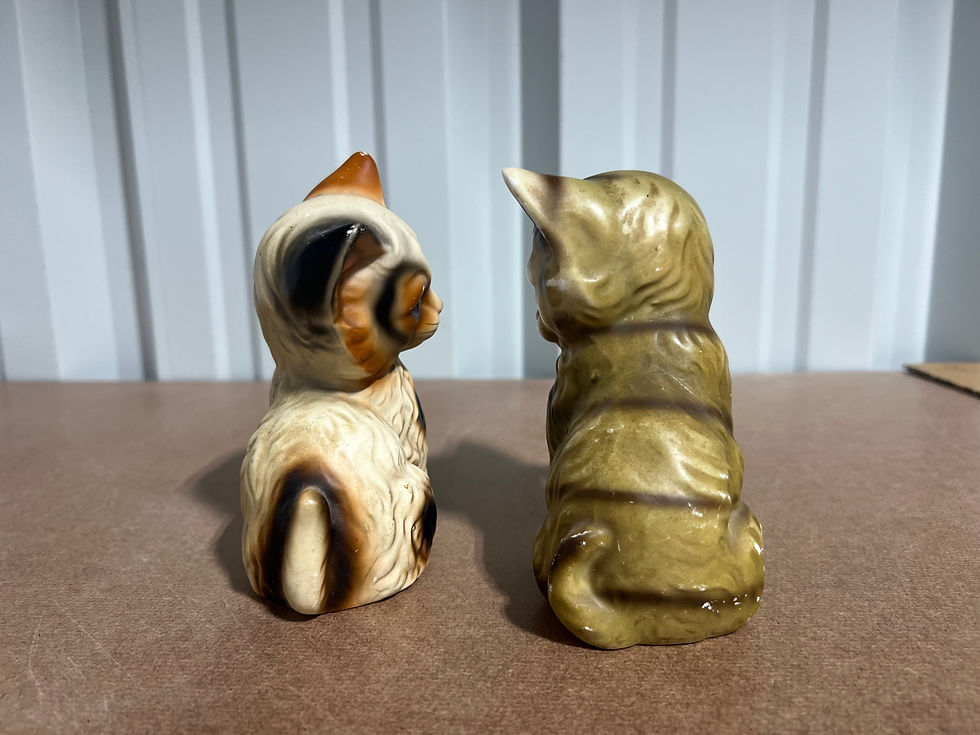 Thumbnail: Two blue eyed little. cats. with one paw in a waving position