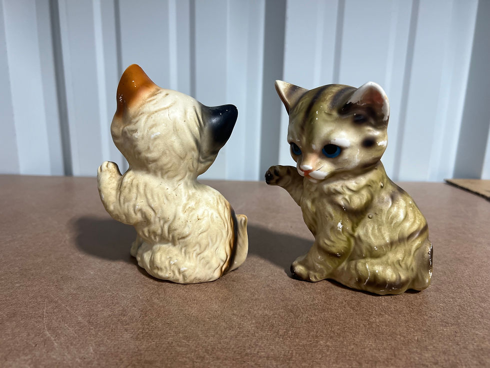 Thumbnail: Two blue eyed little. cats. with one paw in a waving position