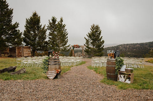 Wedding photo 1.jpeg