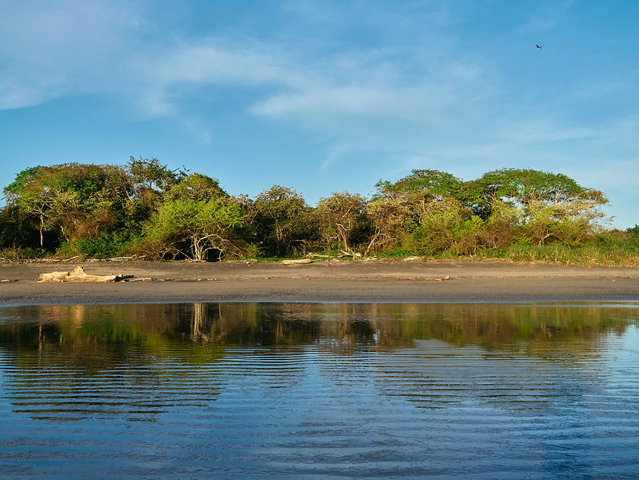 livingwell images 2.jpg