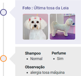 HISTÓRICO.png