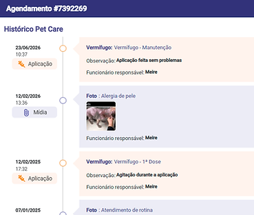 Camada 566 (1).png