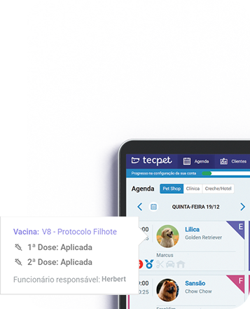 AGENDA WPP.png