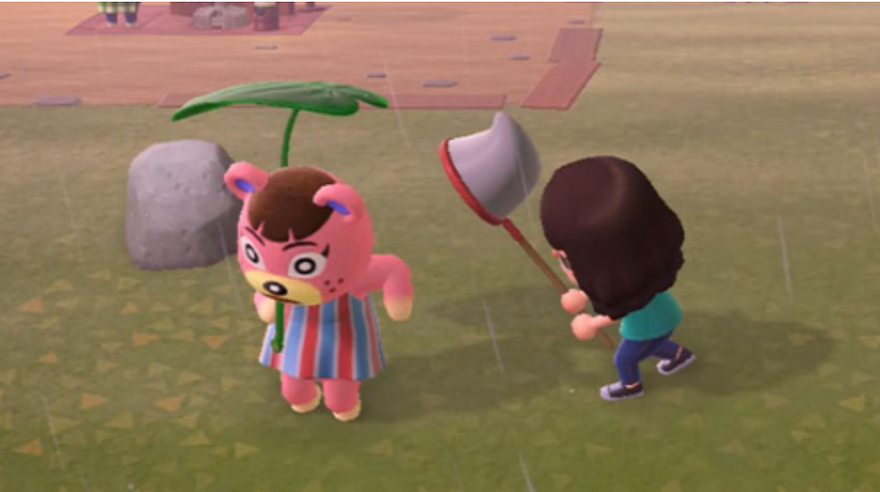 Aesthetic Ethnostate: The Very Real Pipeline From 2020 Animal Crossing Player to Brutal Fascist Dictator 