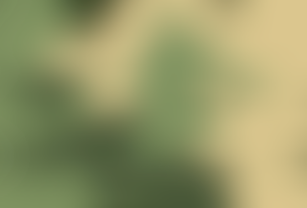 Group 30.png