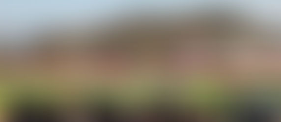 How Cun Chao Reshaped Economy, Identity, and Power in Rural China