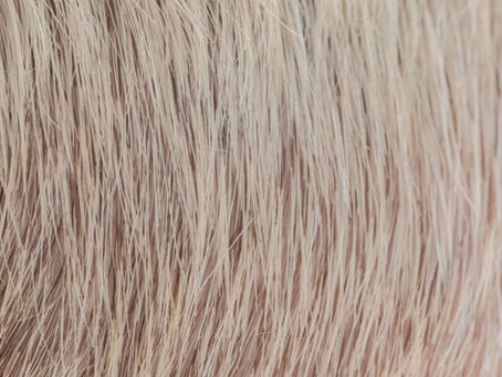 Colore castano chiaro dorato