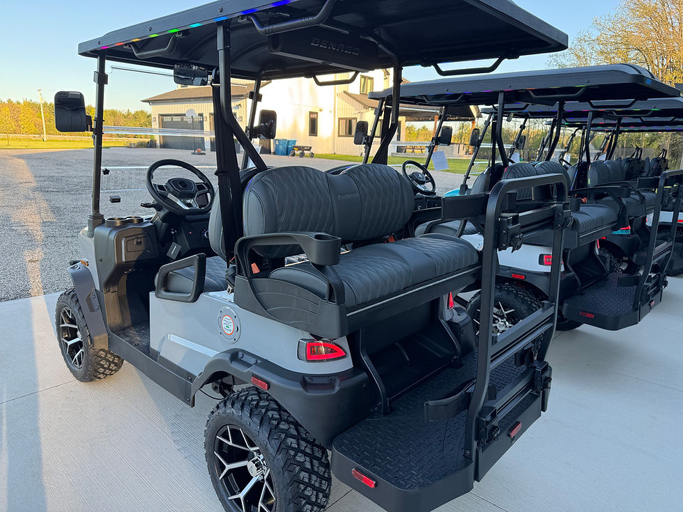 Thumbnail: 2026 Updated Denago Nomad XL - Gray Gen 3
