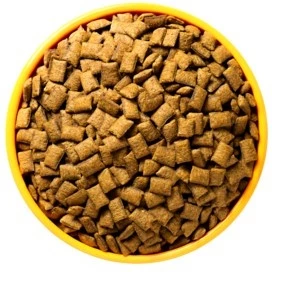 Pastelzinho/Nuggets magnus cat