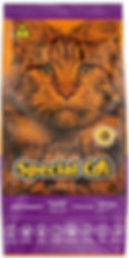 Special cat castrados