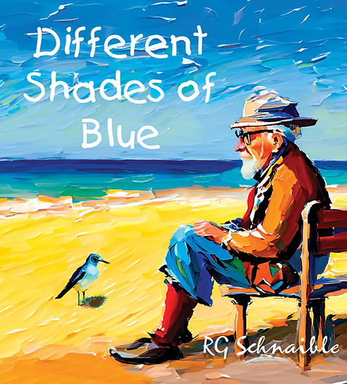 DSOB front cover 1.jpg