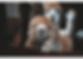 Sélection finale photos HD-promo RPAO (9).png