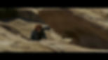 ZOE (feature film)