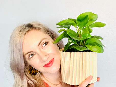 DIY Dowel Planter