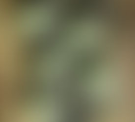 Receitas de bolo de Halloween/Halloween cake recipes