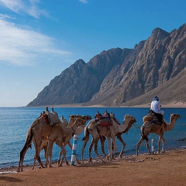 Near Dahab. Red Sea, mountains, desert, camels go - a beauty!