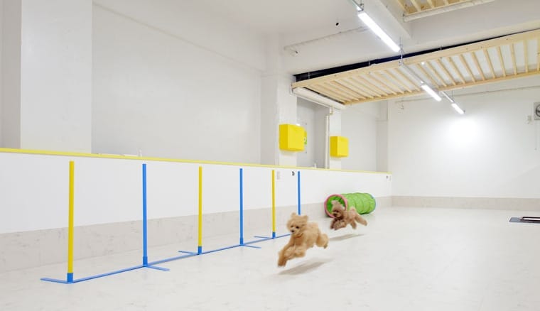 ドッグラン設備