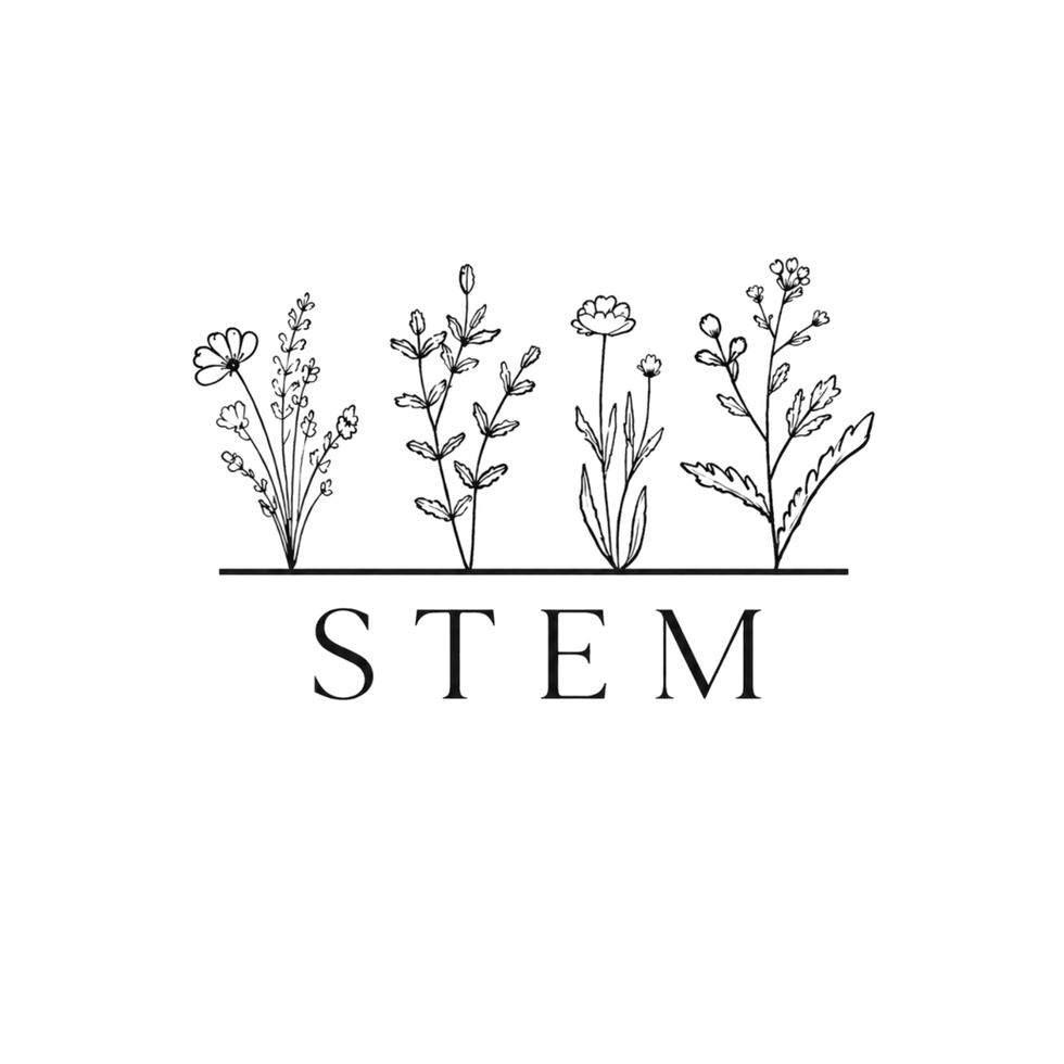 STEM Logo