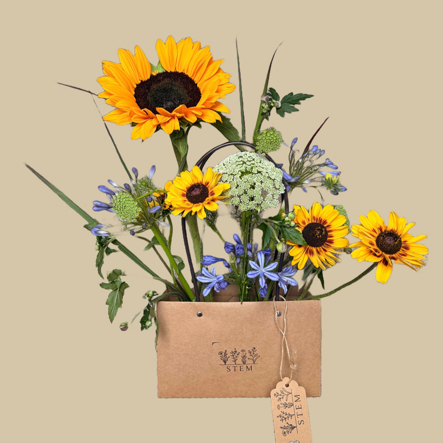 £20.00 Gift Bag Bouquet