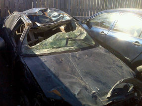 Everybody's got a Story: Getting Out Alive.