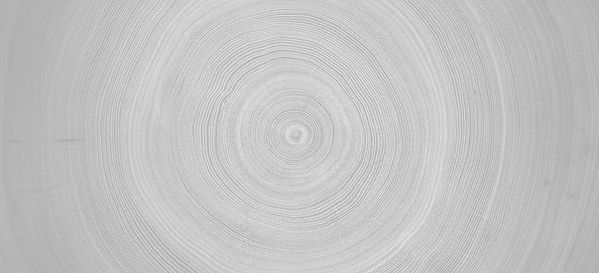 AdobeStock_296235877.jpeg