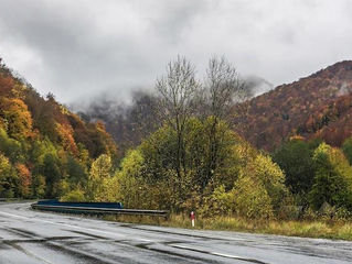 FALL CAR CARE: 7 FLUIDS TO CHECK