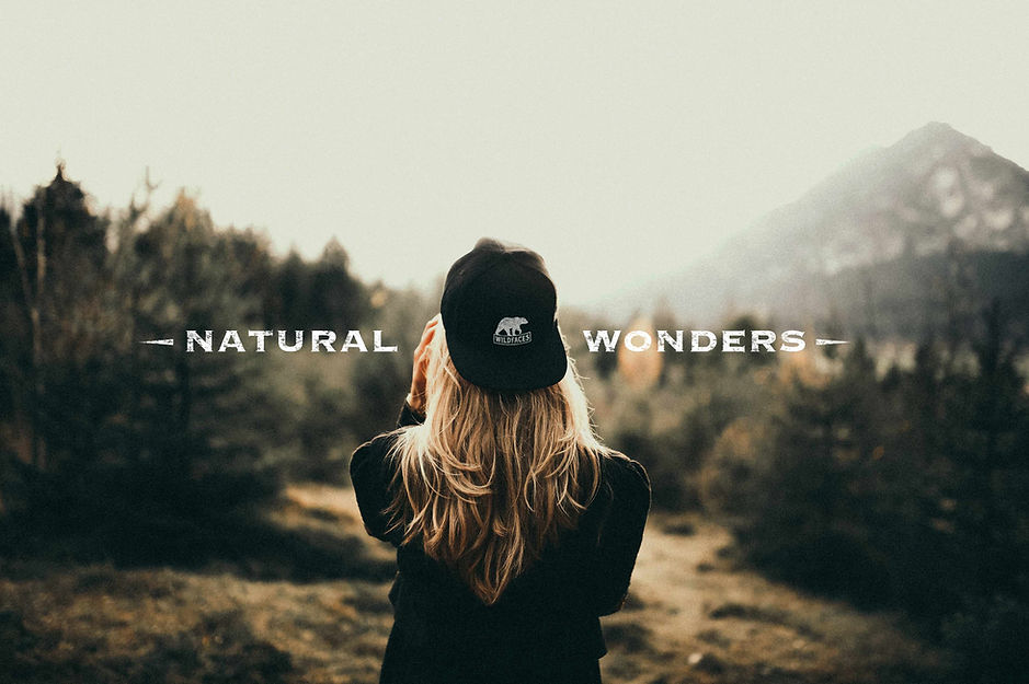 Wildfaces-mockup.jpg