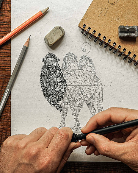 Laral-Crafts-Print-Pencil-Bactrian-Camel-Ink.jpg