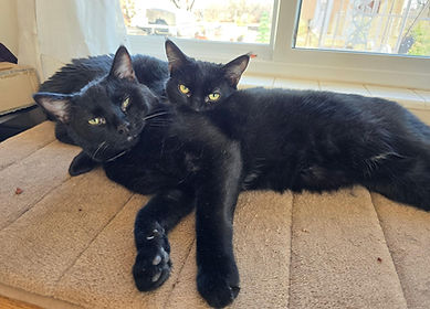 2025-04 Rascal and Jasmine.jpg