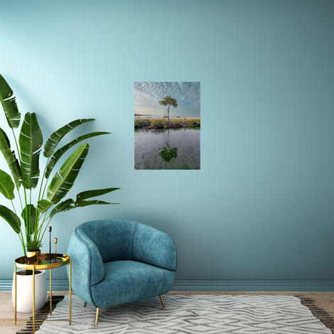 The Lonely Mangrove photo taken by Artist Ken Morningstar on wall in room with a plant and blue chair