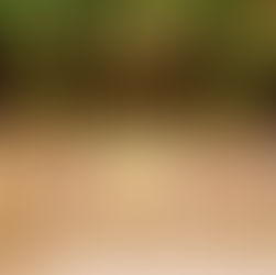 Meet Elegance UK, sponsoring our New Starter Business Award 2020