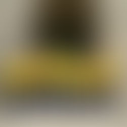 Supporting Those Who Give Back – The Banks Group Sponsors the Charitable Business of the Year Award