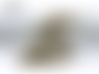 Jag Aquatics Reef Hardscape 1