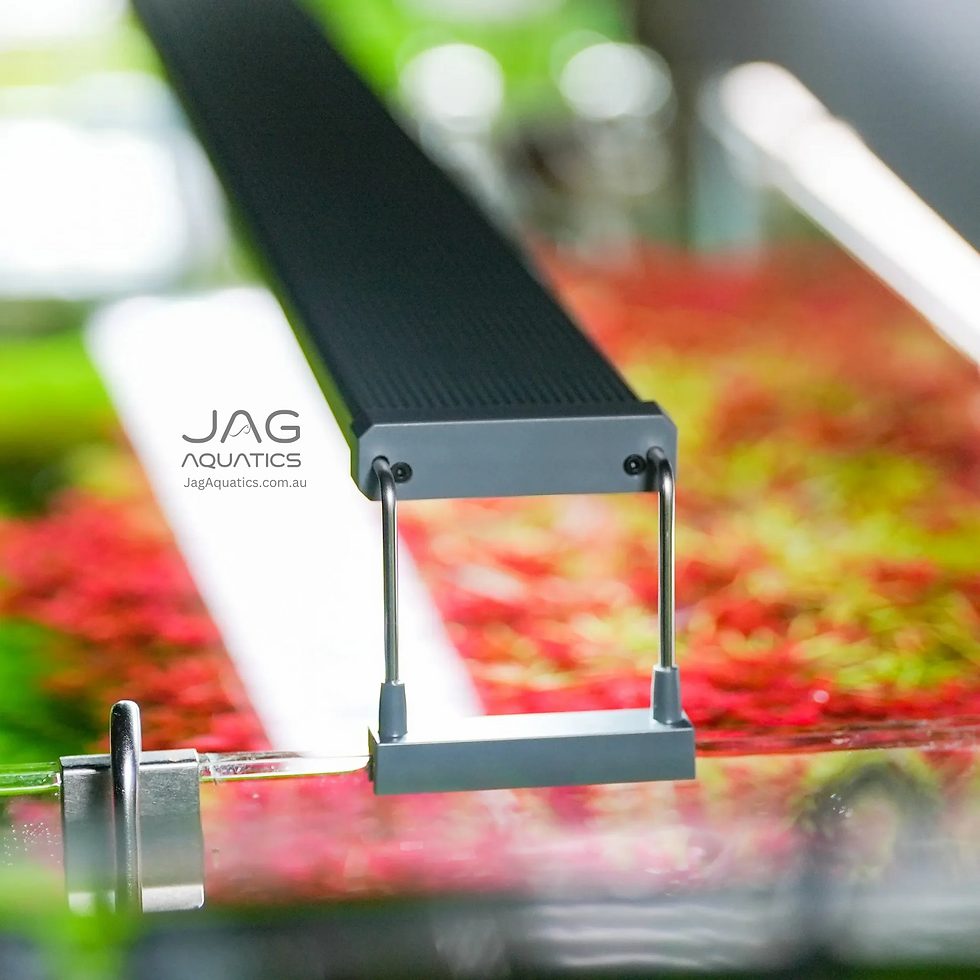 Thumbnail: Chihiros B Series B45 (Non-Bluetooth)