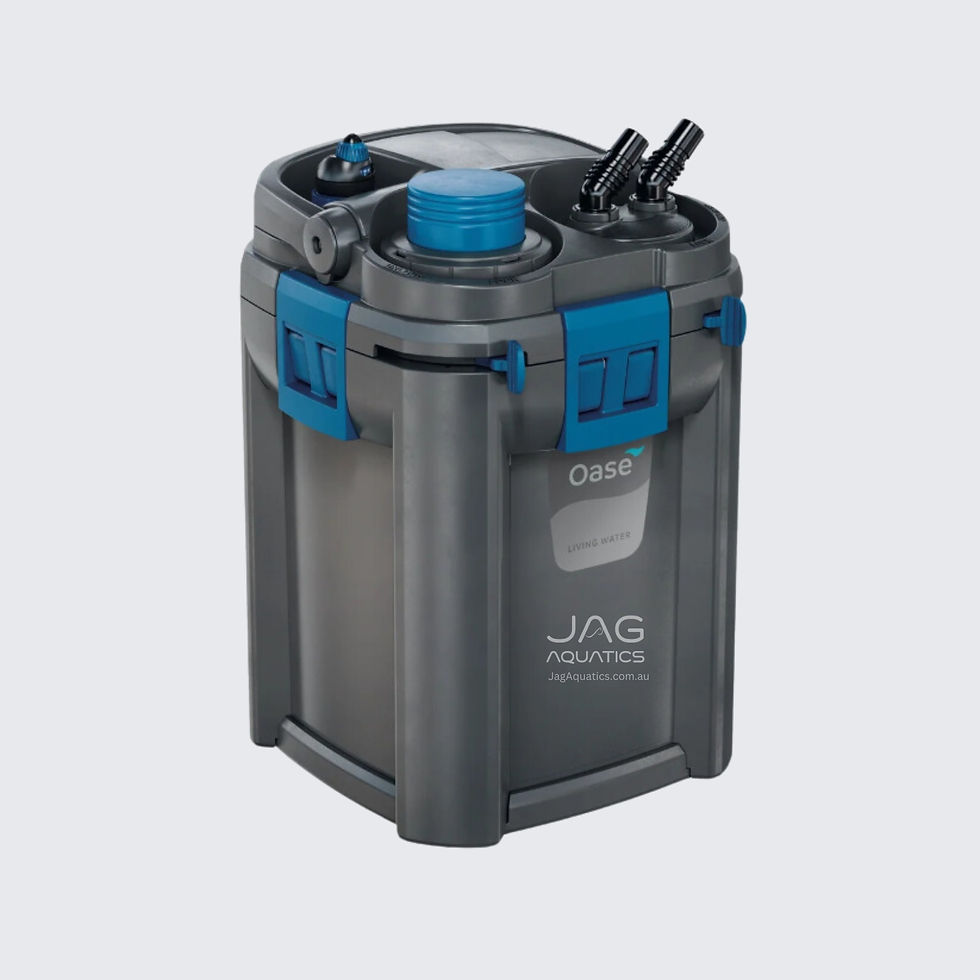 OASE BioMaster Thermo 250 Canister Filter