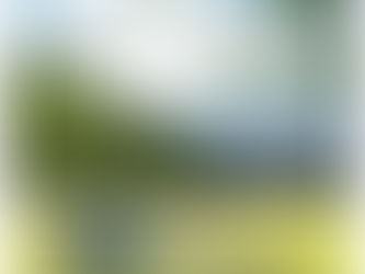 மஞ்சக்காட்டு மயிலே 9