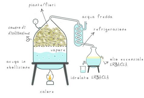 disegno impianto di distillazione oli essenziali