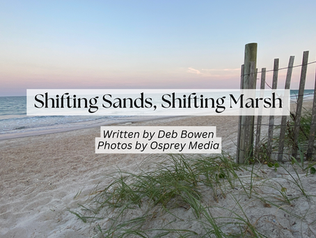 I WON’T GIVE UP: Shifting Sands, Shifting Marsh