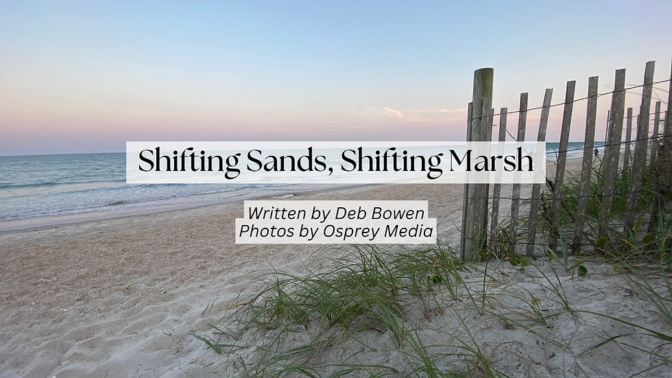 I WON’T GIVE UP: Shifting Sands, Shifting Marsh