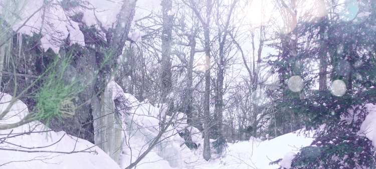 Falling snow in the winter woods of Vermont and a welcome banner for Mini Spa VT and Blue Lotus Shop.