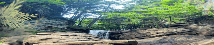 Summer.seasonal.banner.mini.spa.vt.blue.lotus.shop.gif