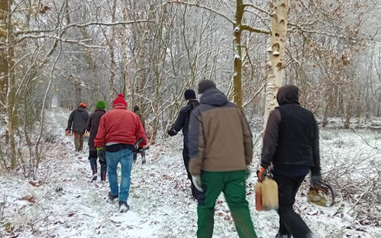 Helfer zum Entkusseln im Hollweger Moor in Ihorst Landkreis Ammerland Stadt Westerstede, Naturschutzgebiet und Renaturierungsflächen im Hollweger Moor. Moorschutz, CO2 Speicher.