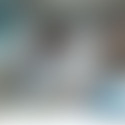 Typische Streitfelder, in denen Gutachten genutzt werden