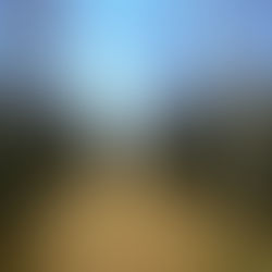 Entkusselung im Naturschutzgebiet